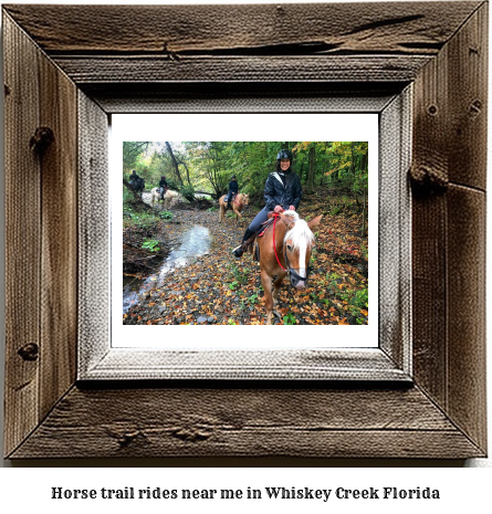 horse trail rides near me in Whiskey Creek, Florida